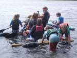Scout Summer Camp, 2014 295