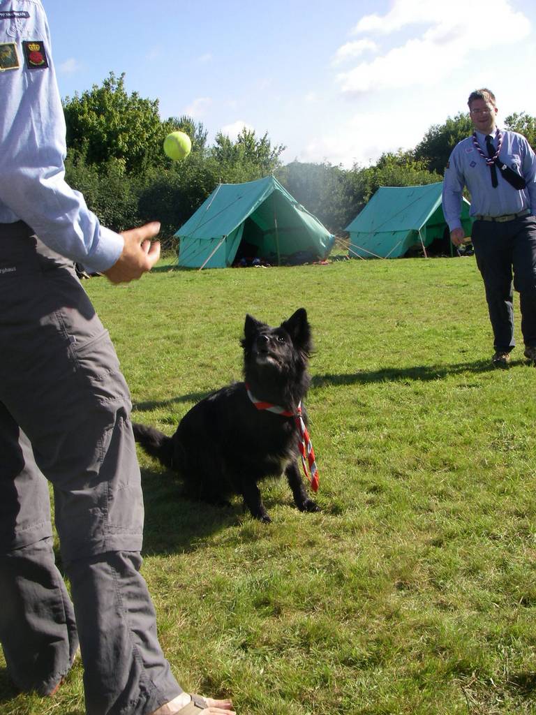 Scout Summer Camp, July 2010 - Ros 71