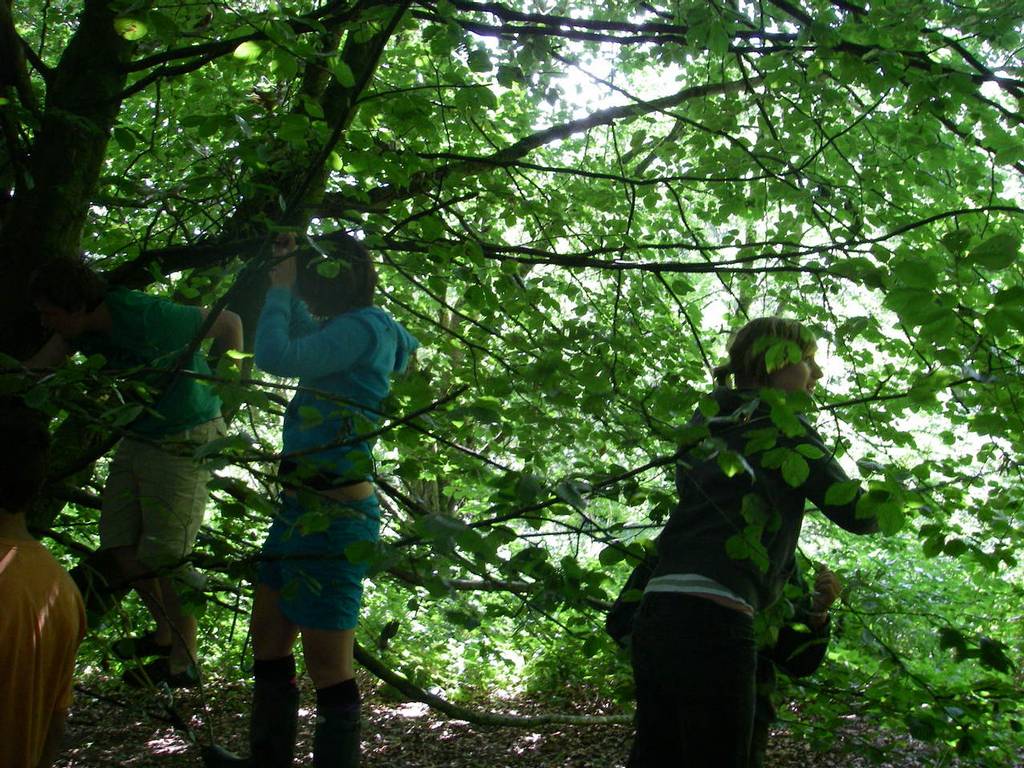 Scout Summer Camp, July 2010 - Ros 115