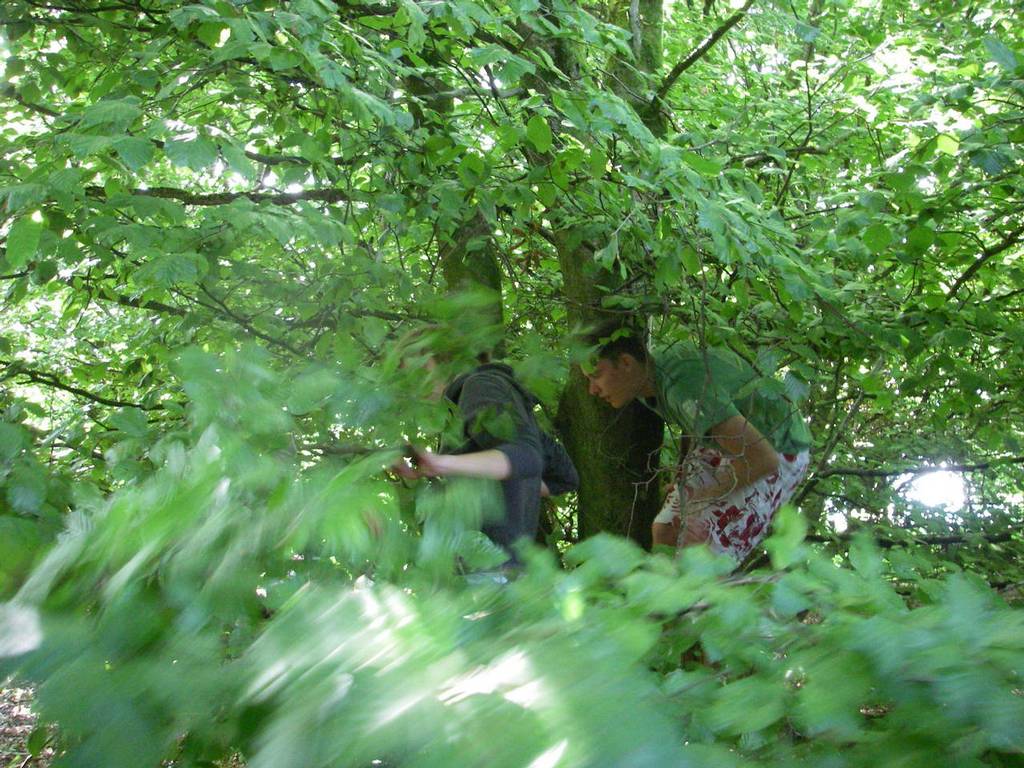 Scout Summer Camp, July 2010 - Ros 130