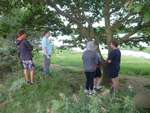 Scout Summer Camp, 2014 426