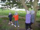 Scout Summer Camp, 2014 392
