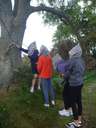 Scout Summer Camp, 2014 424