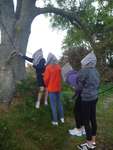 Scout Summer Camp, 2014 424