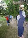 Scout Summer Camp, 2014 389