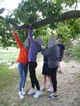 Scout Summer Camp, 2014 504