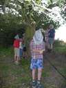 Scout Summer Camp, 2014 427