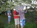 Scout Summer Camp, 2014 445