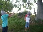 Scout Summer Camp, 2014 388