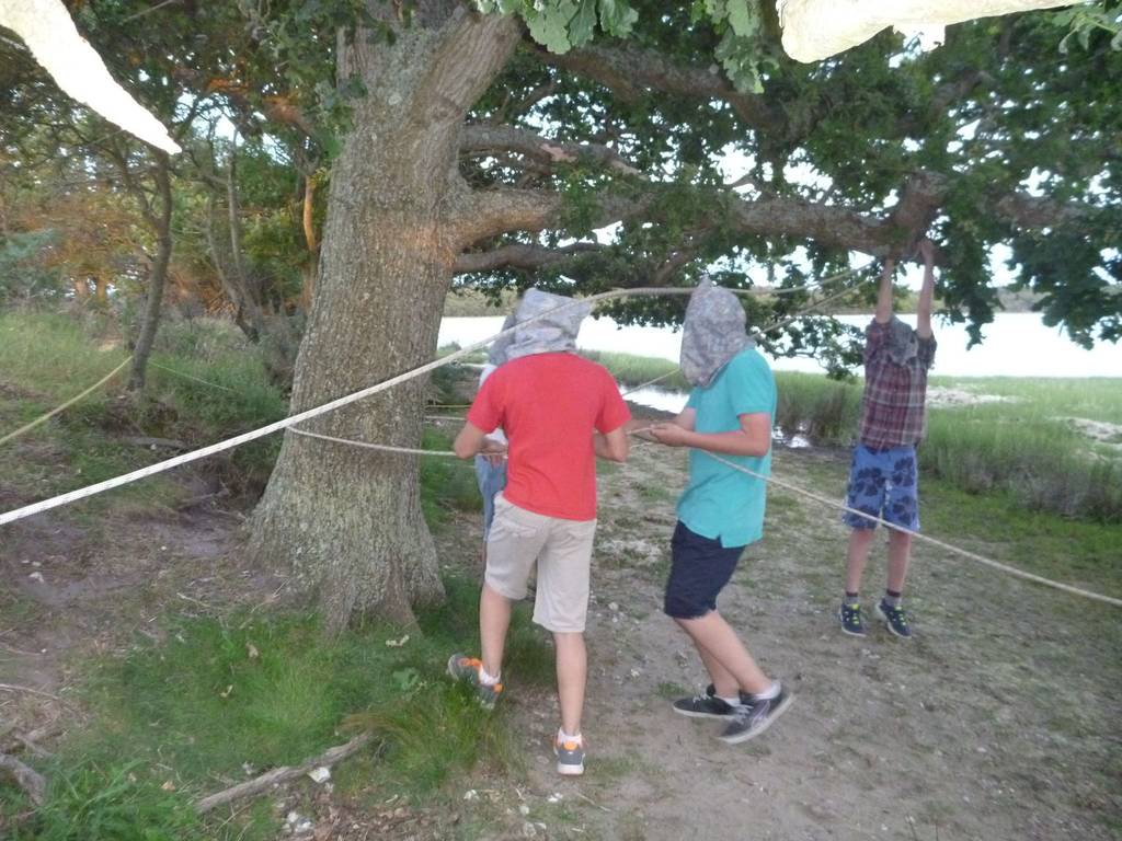 Scout Summer Camp, 2014 509