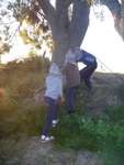 Scout Summer Camp, 2014 498