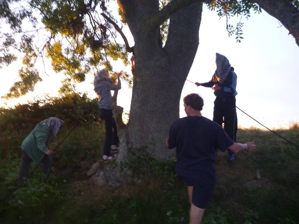 Scout Summer Camp, 2014 441