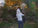 Scout Summer Camp, 2014 433