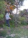 Scout Summer Camp, 2014 511