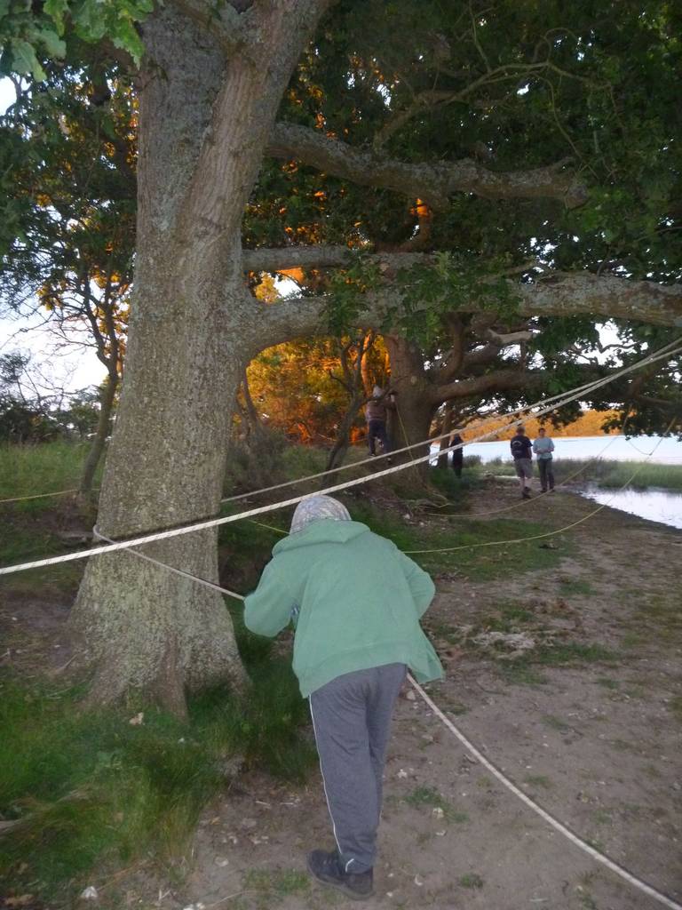 Scout Summer Camp, 2014 462
