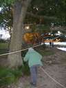 Scout Summer Camp, 2014 462