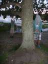 Scout Summer Camp, 2014 503