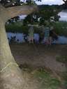 Scout Summer Camp, 2014 473