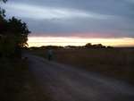 Scout Summer Camp, 2014 489