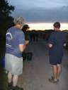 Scout Summer Camp, 2014 485