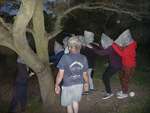 Scout Summer Camp, 2014 483