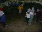 Scout Summer Camp, 2014 382