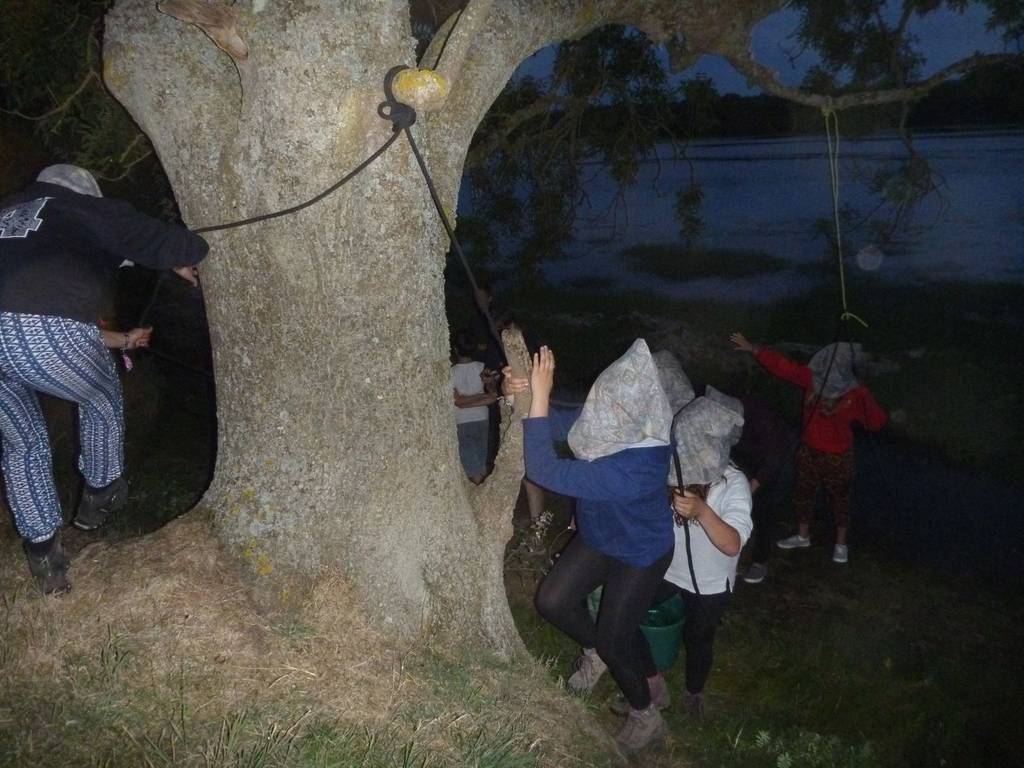 Scout Summer Camp, 2014 497