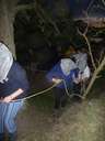 Scout Summer Camp, 2014 385