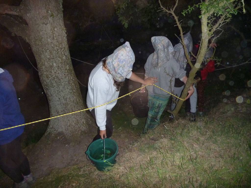 Scout Summer Camp, 2014 514