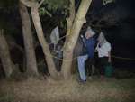 Scout Summer Camp, 2014 402