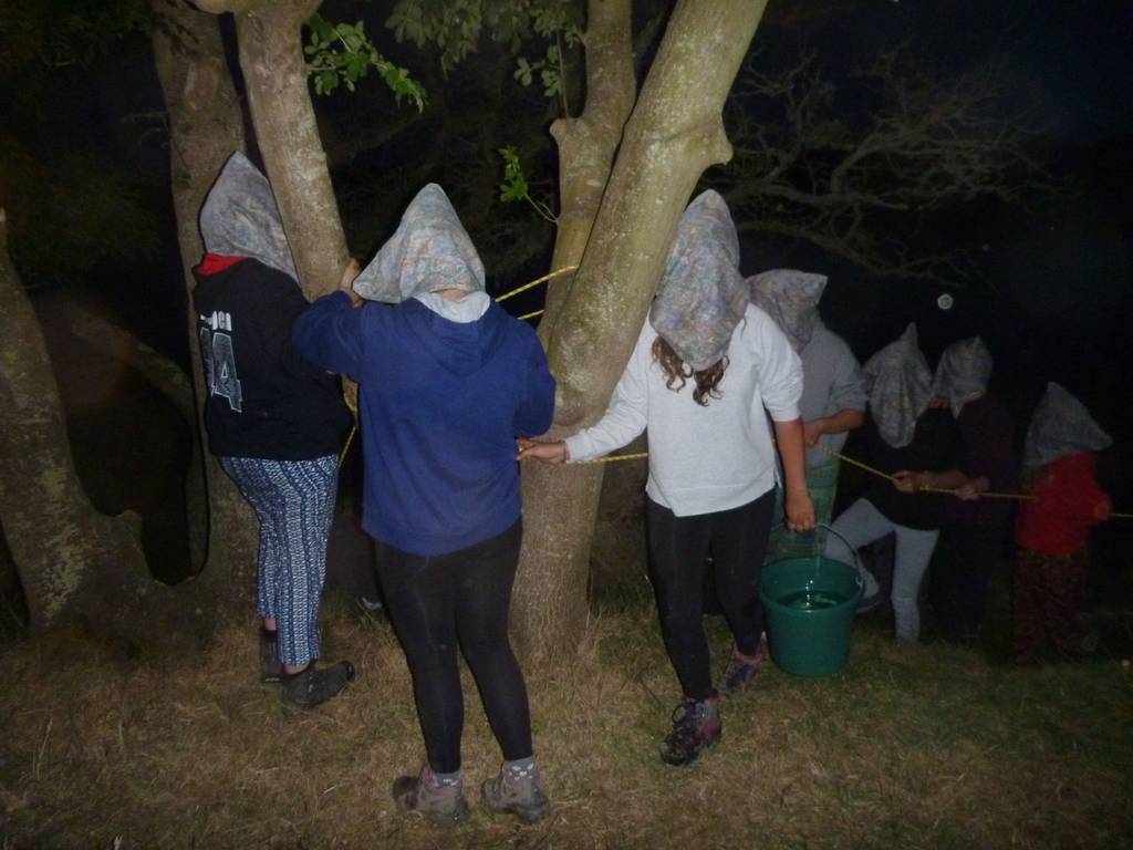 Scout Summer Camp, 2014 395