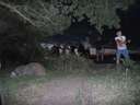 Scout Summer Camp, 2014 474