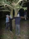 Scout Summer Camp, 2014 478