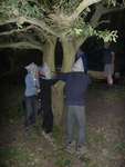 Scout Summer Camp, 2014 478