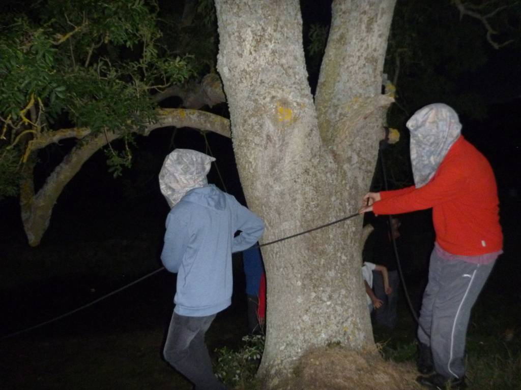 Scout Summer Camp, 2014 454