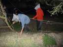 Scout Summer Camp, 2014 434