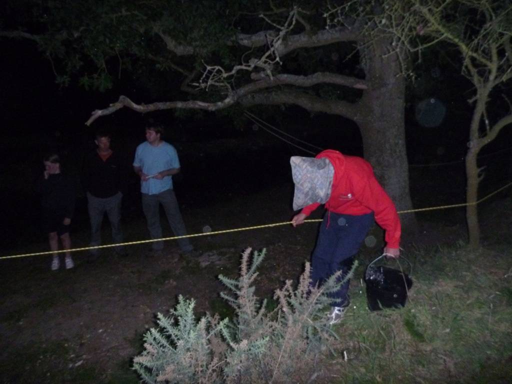 Scout Summer Camp, 2014 452