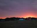 Scout Summer Camp, 2014 468