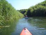 Scout Summer Camp, 2014 404