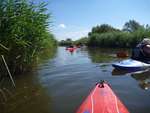 Scout Summer Camp, 2014 430