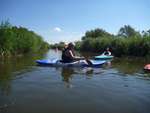 Scout Summer Camp, 2014 490