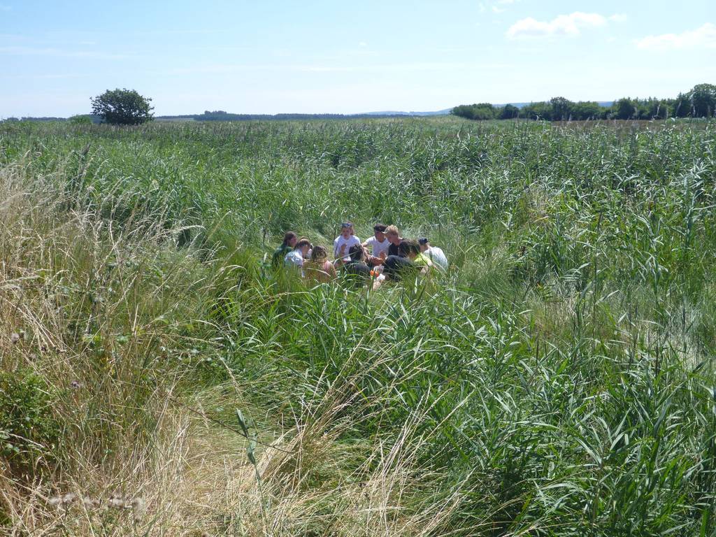 Scout Summer Camp, 2014 409