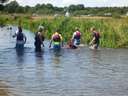 Scout Summer Camp, 2014 487