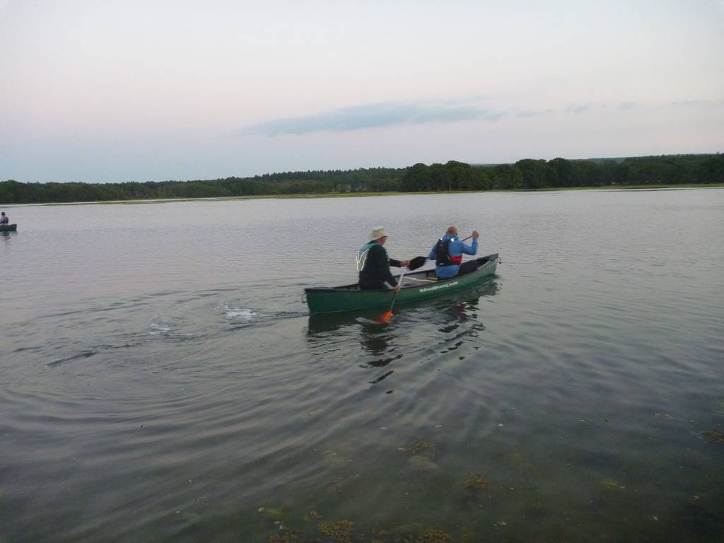 Scout Summer Camp, 2014 472