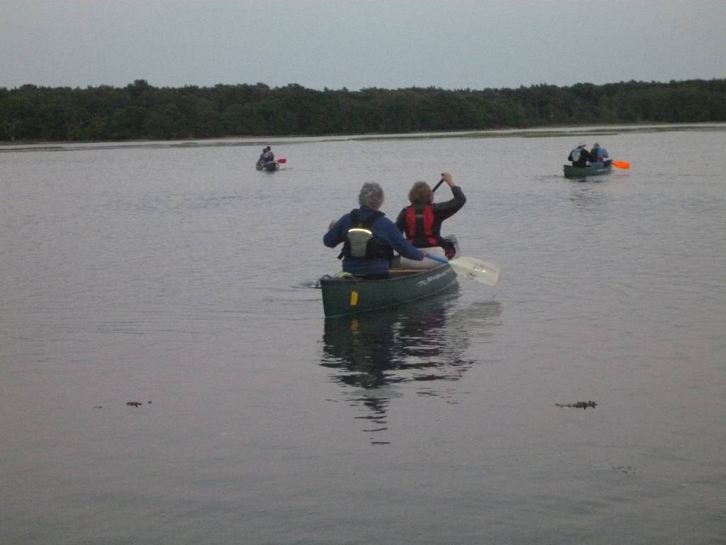 Scout Summer Camp, 2014 458