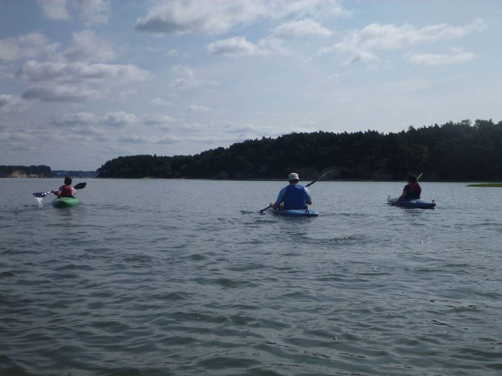 Scout Summer Camp, 2014 429