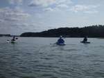 Scout Summer Camp, 2014 429