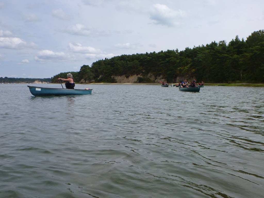 Scout Summer Camp, 2014 566