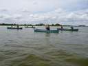 Scout Summer Camp, 2014 544