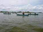 Scout Summer Camp, 2014 544